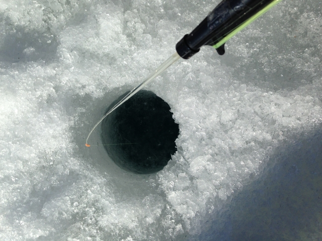 ワカサギ釣りを氷上でやる時期はいつ 関西にも氷上はある